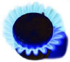 image: Organic Plants